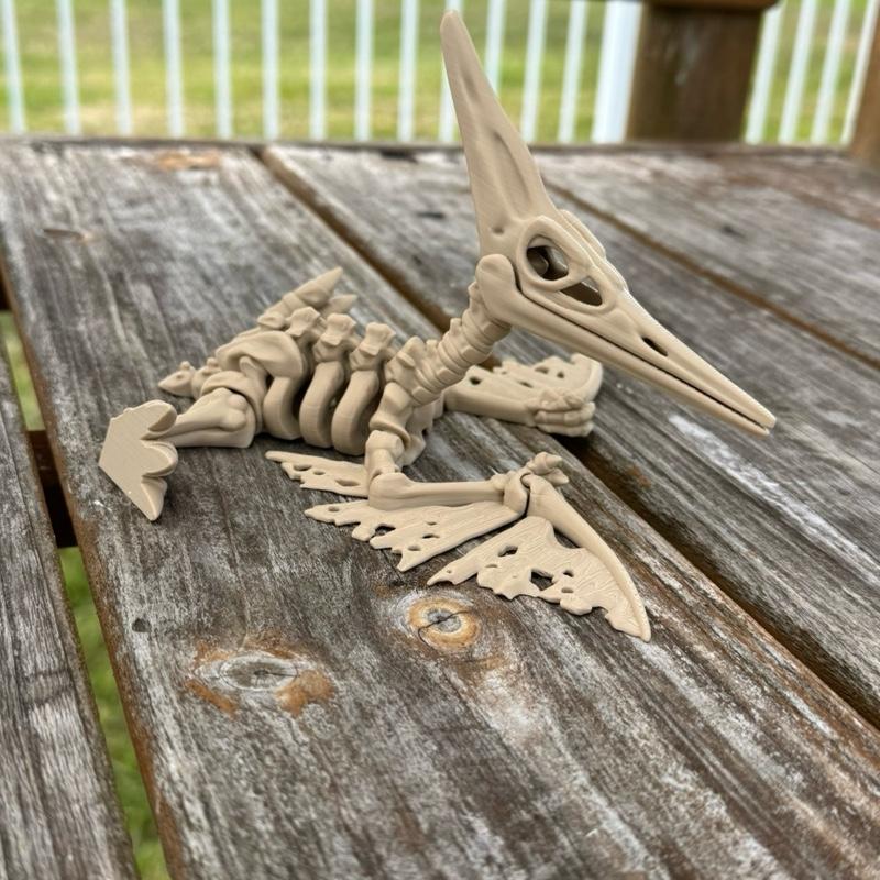 Skeleton Pteranodon - Flexi 3D Print, Detailed Skeleton Design, Lightweight and Easy to Carry