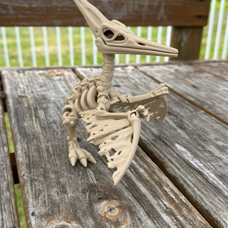 Skeleton Pteranodon - Flexi 3D Print, Detailed Skeleton Design, Lightweight and Easy to Carry