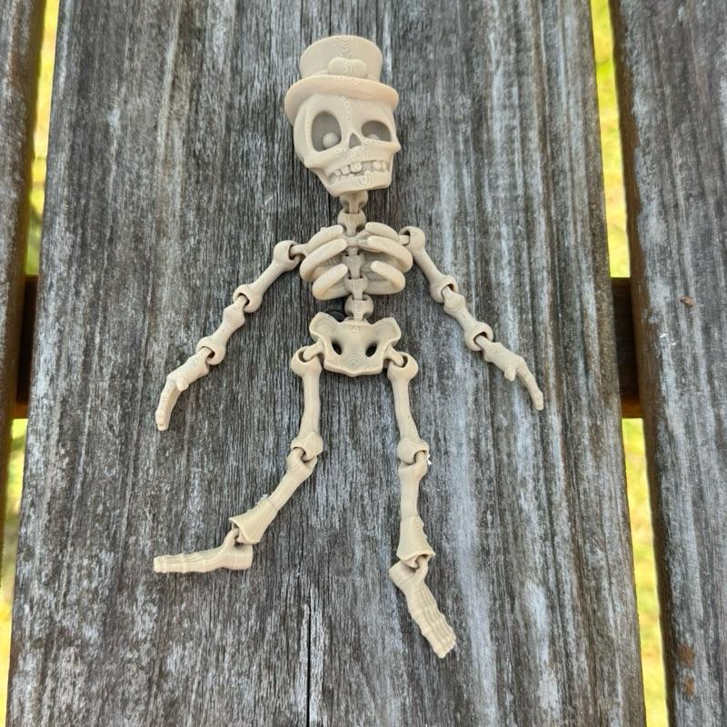 3D Printed Skeleton – Articulated Poseable Bone Buddy
