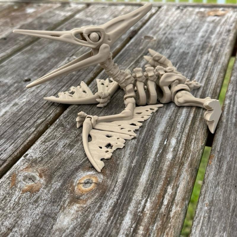 Skeleton Pteranodon - Flexi 3D Print, Detailed Skeleton Design, Lightweight and Easy to Carry