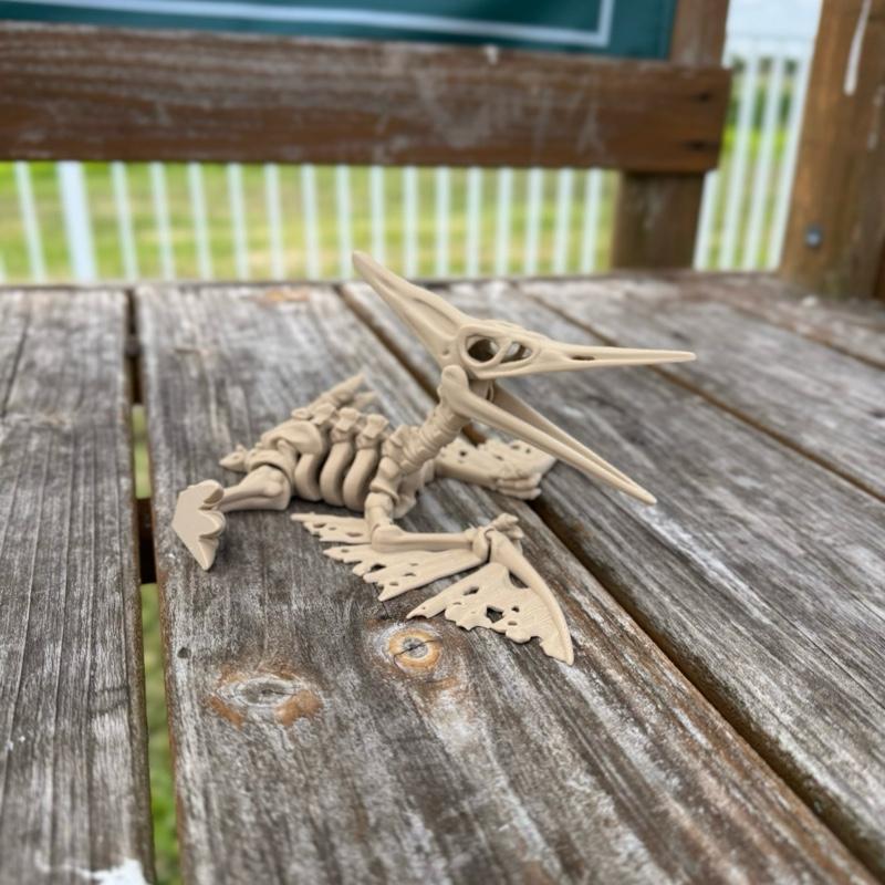 Skeleton Pteranodon - Flexi 3D Print, Detailed Skeleton Design, Lightweight and Easy to Carry